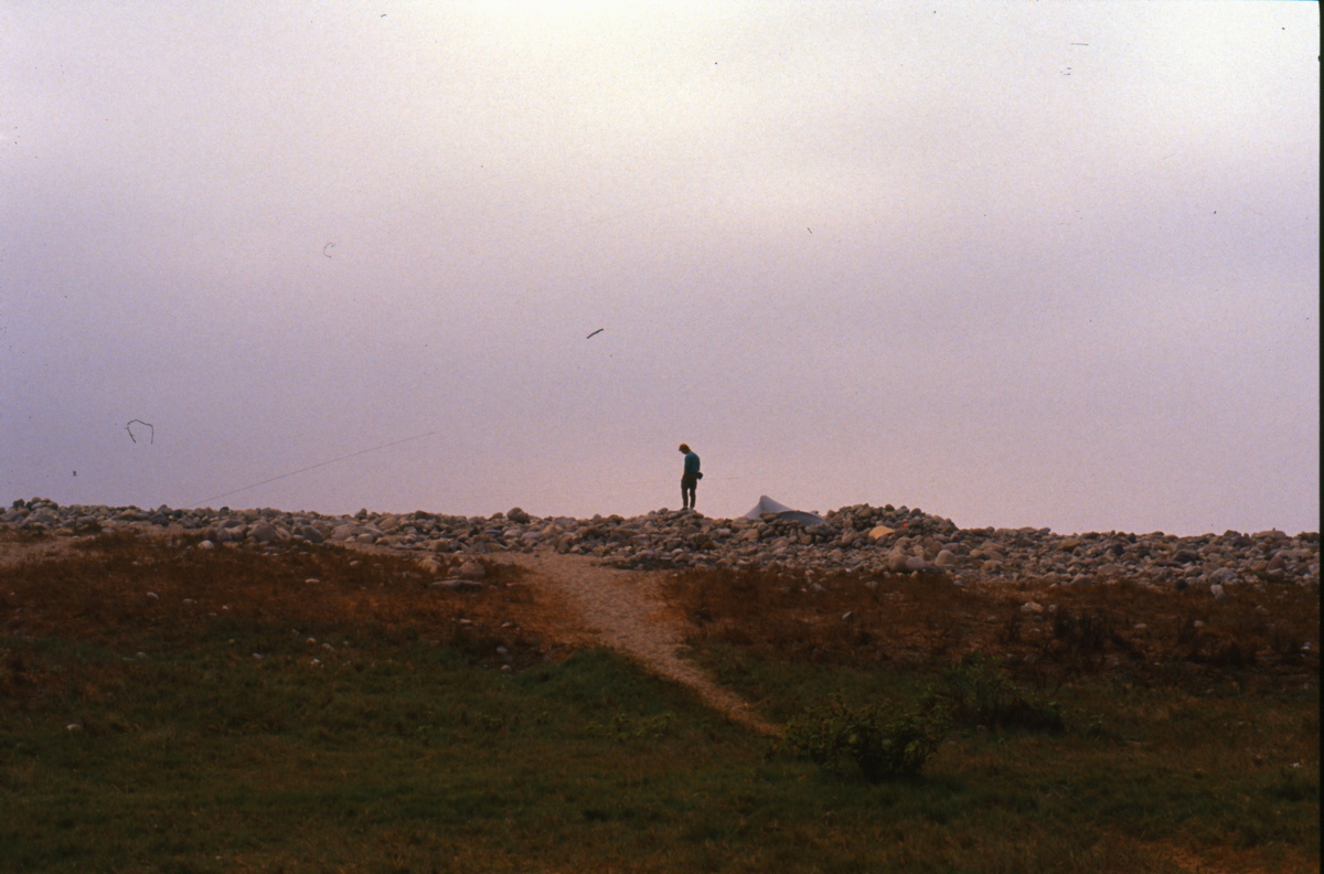 131a_suchen_am_strand.jpg