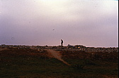 131a_suchen_am_strand.jpg