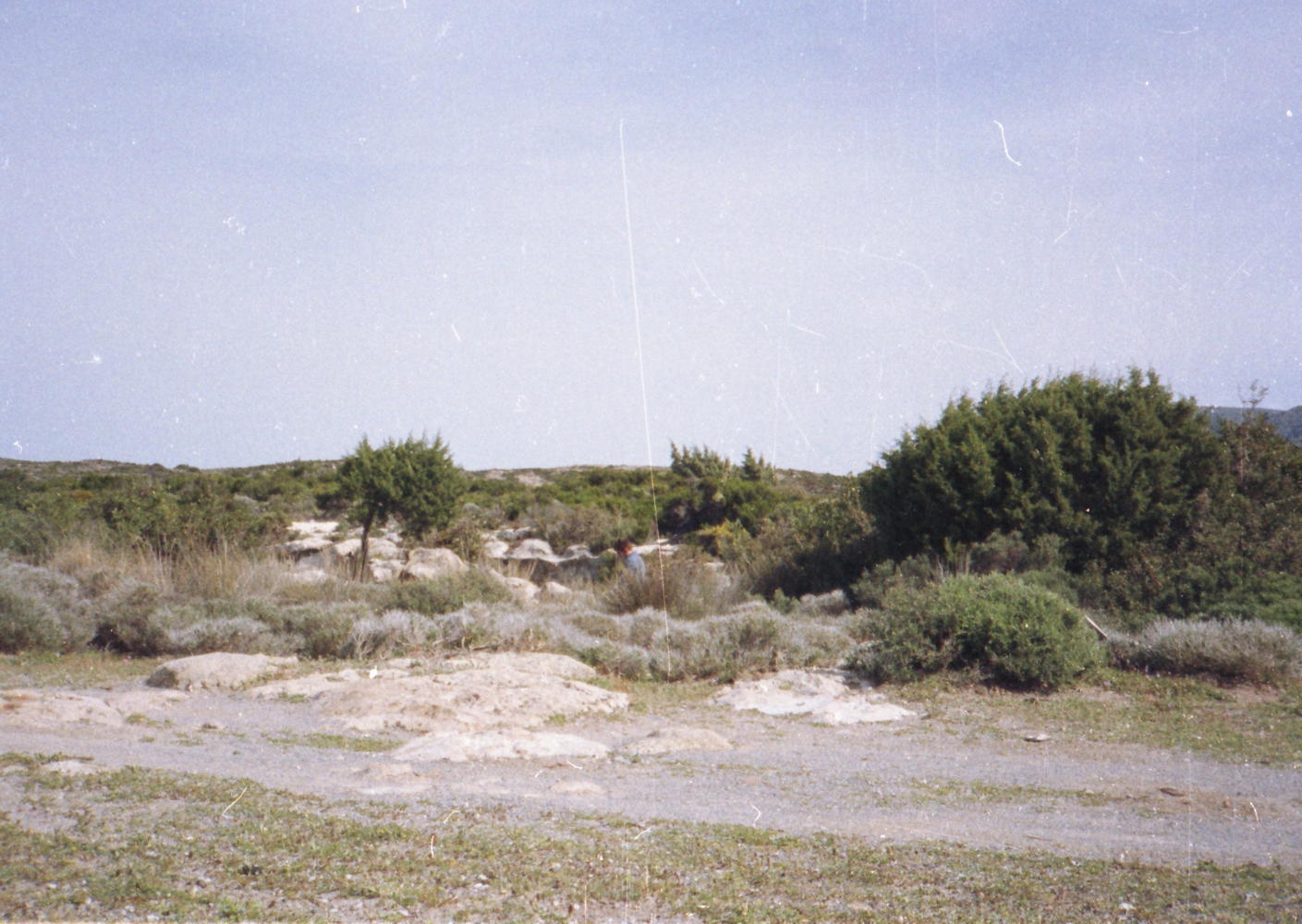 018_bei_elafonissi.jpg