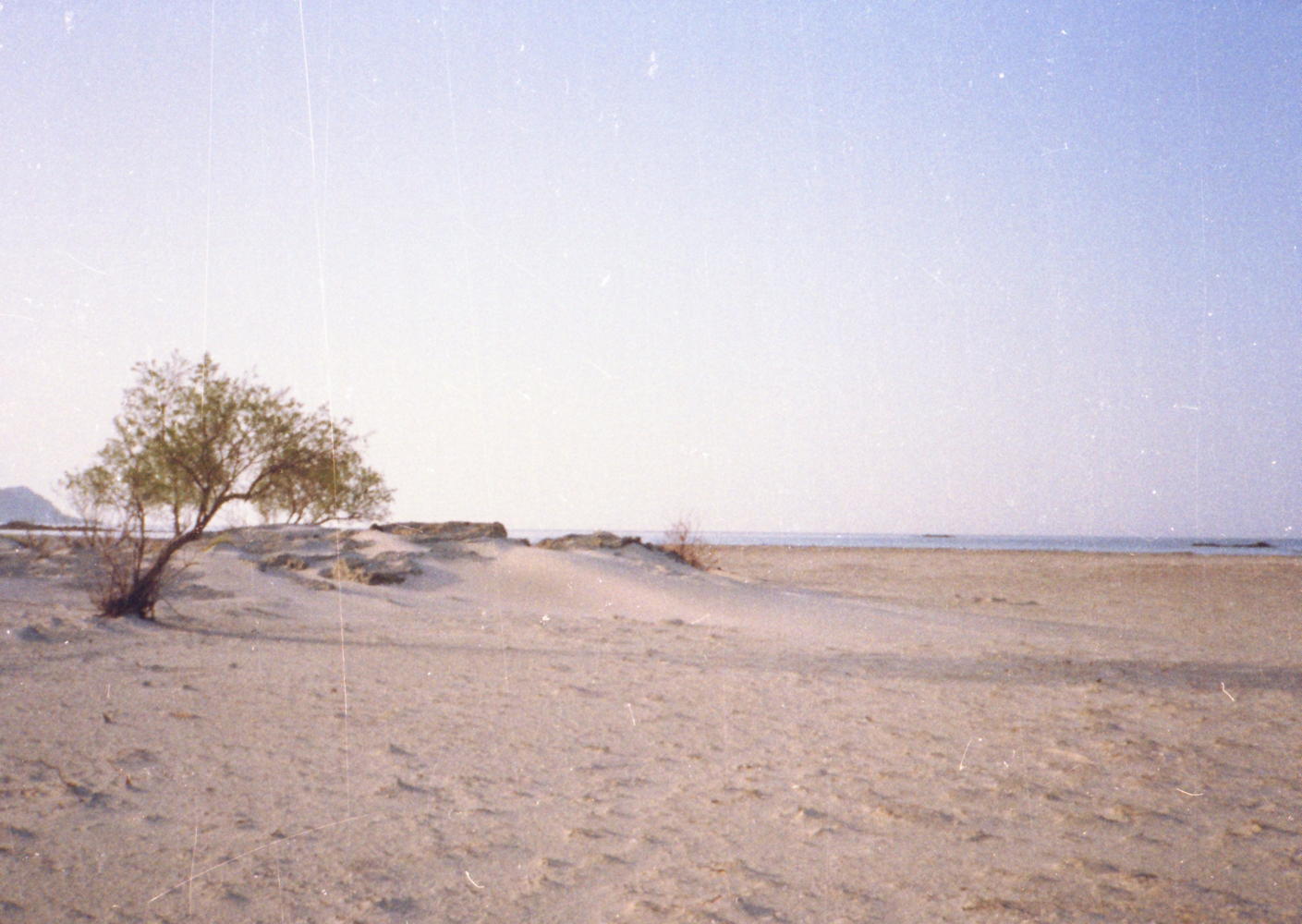 025_am_strand.jpg