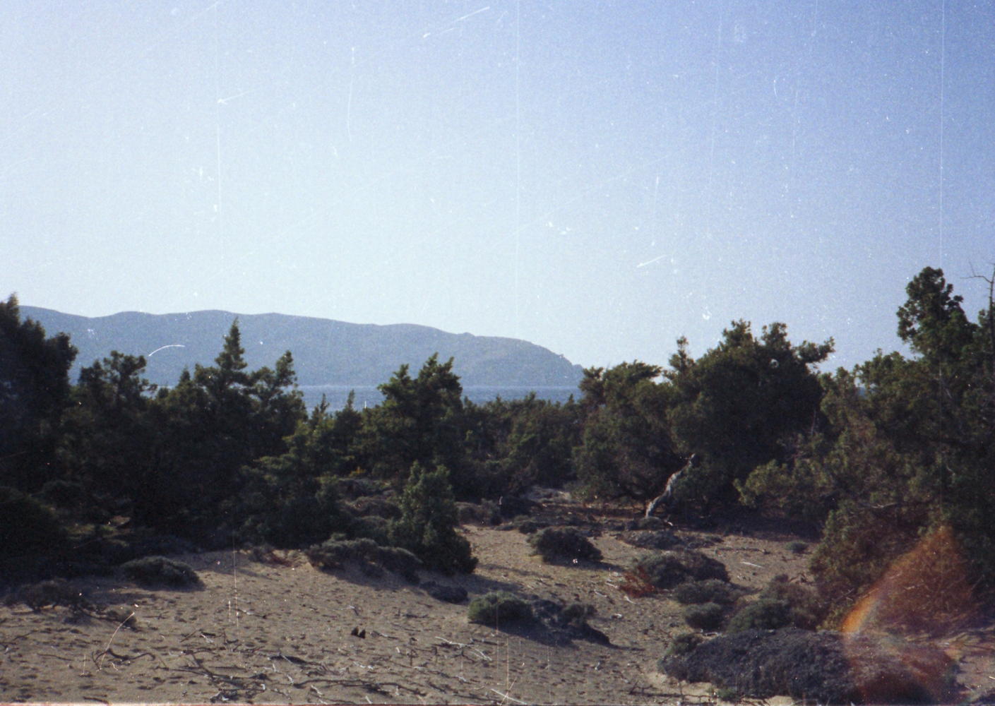 028_gestruepp_am_strand.jpg