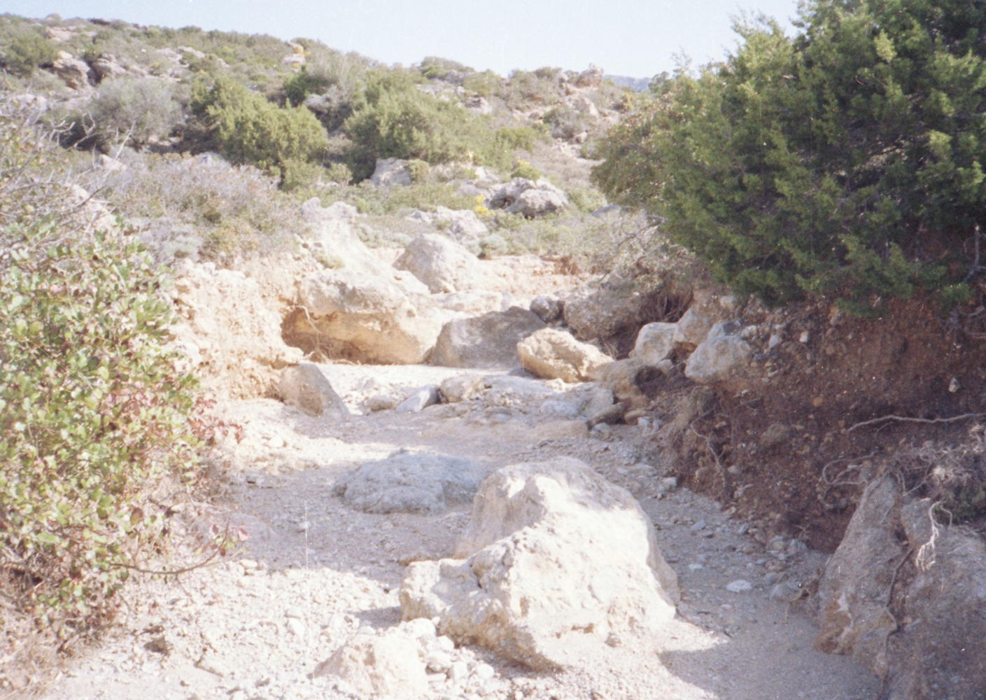 030_wanderung_nach_osten.jpg