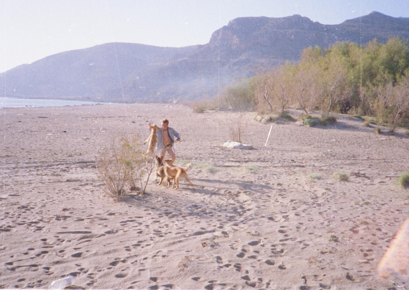 036_strand_von_paleochora.jpg
