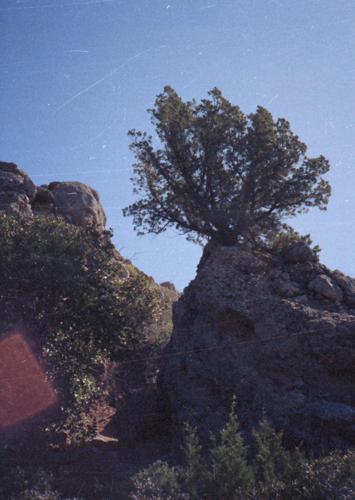 045_macchia_unterwegs.jpg