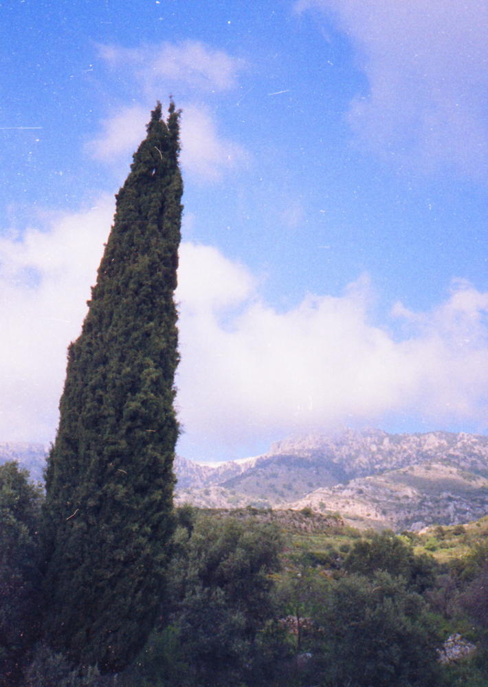 061_am_fuss_des_psiloritis.jpg