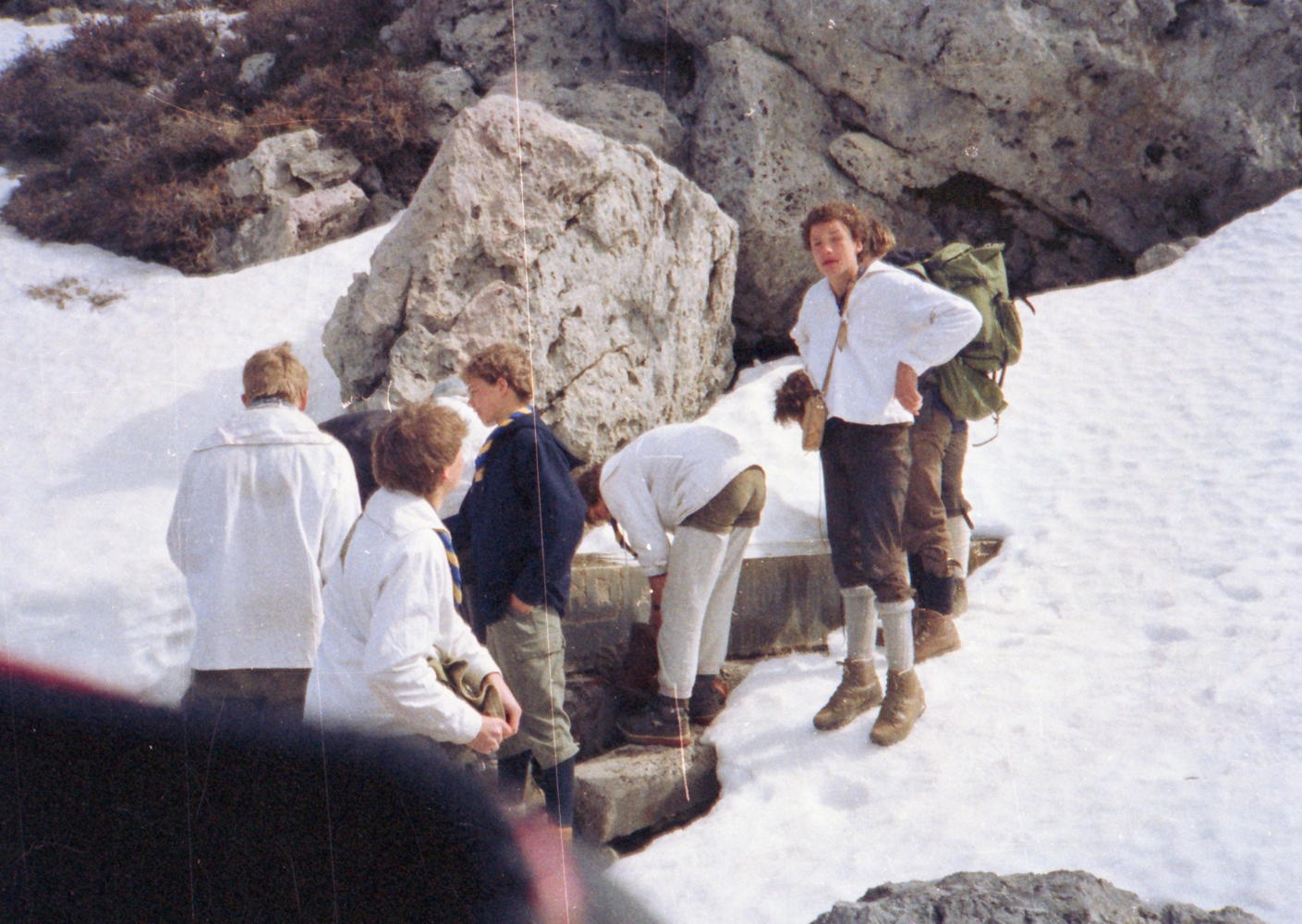 064_schaftraenke_am_gipfelhang.jpg