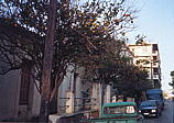 006_strasse_in_xania.jpg