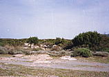 018_bei_elafonissi.jpg