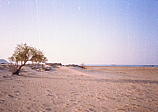 025_am_strand.jpg
