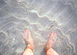 027_im_wasser.jpg