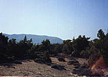 028_gestruepp_am_strand.jpg