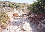 030_wanderung_nach_osten.jpg