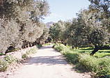 042_abschied_von_paleochora.jpg