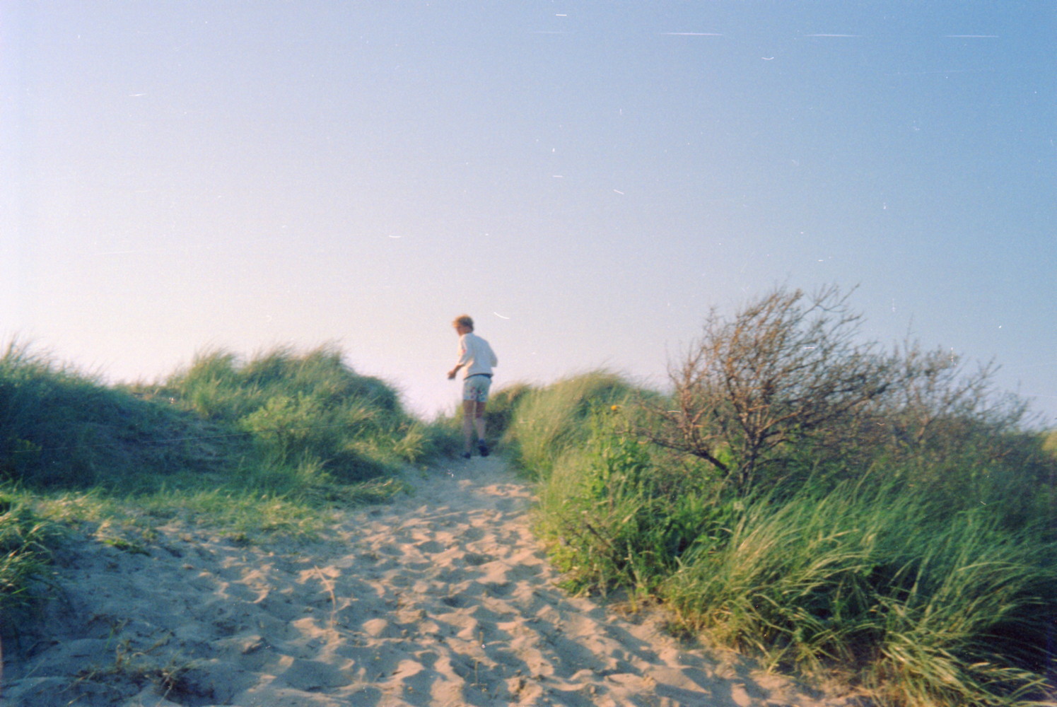011_holland.jpg