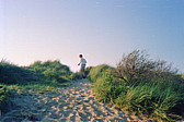 011_holland.jpg