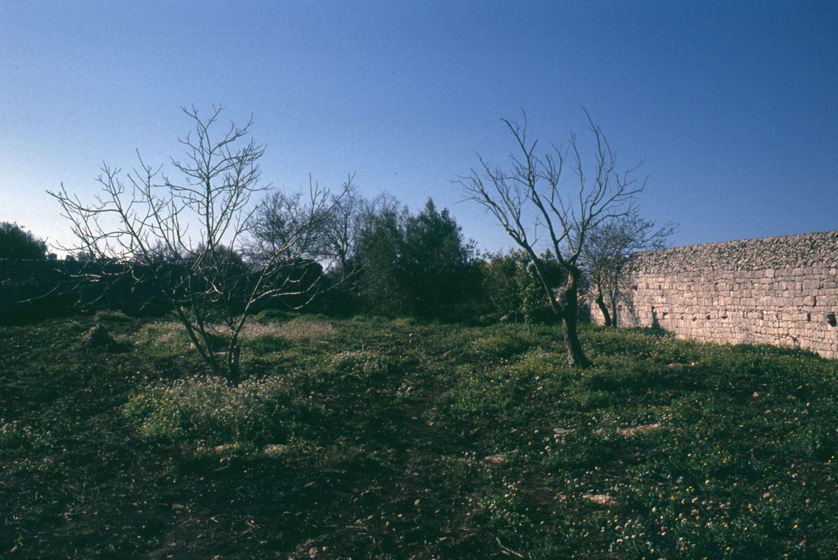 019_im_garten.jpg