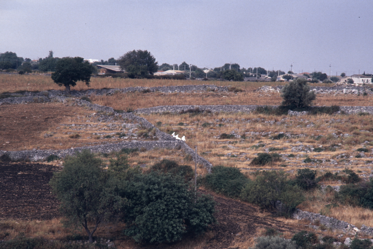 047_prozessioniii.jpg