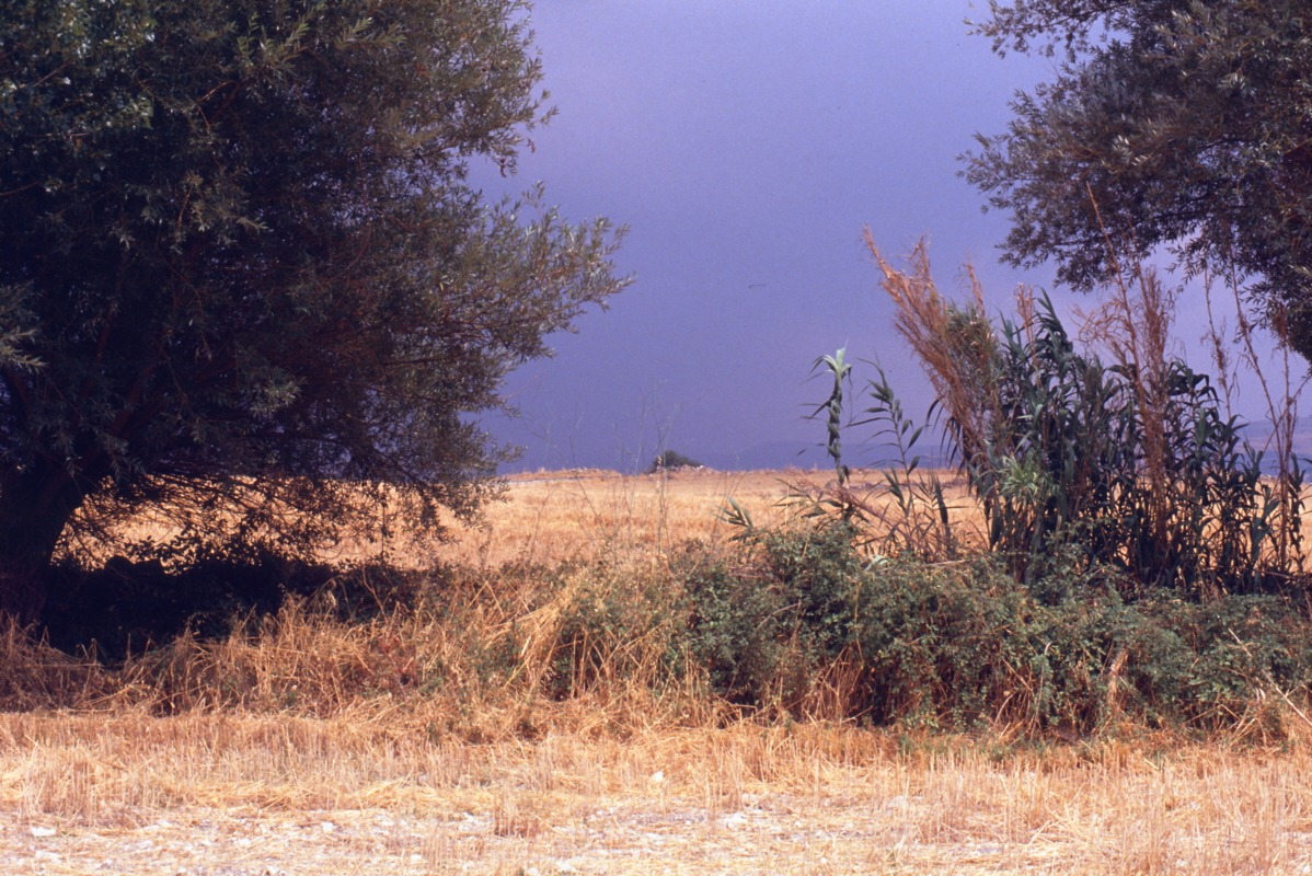 079_auf_dem_land.jpg