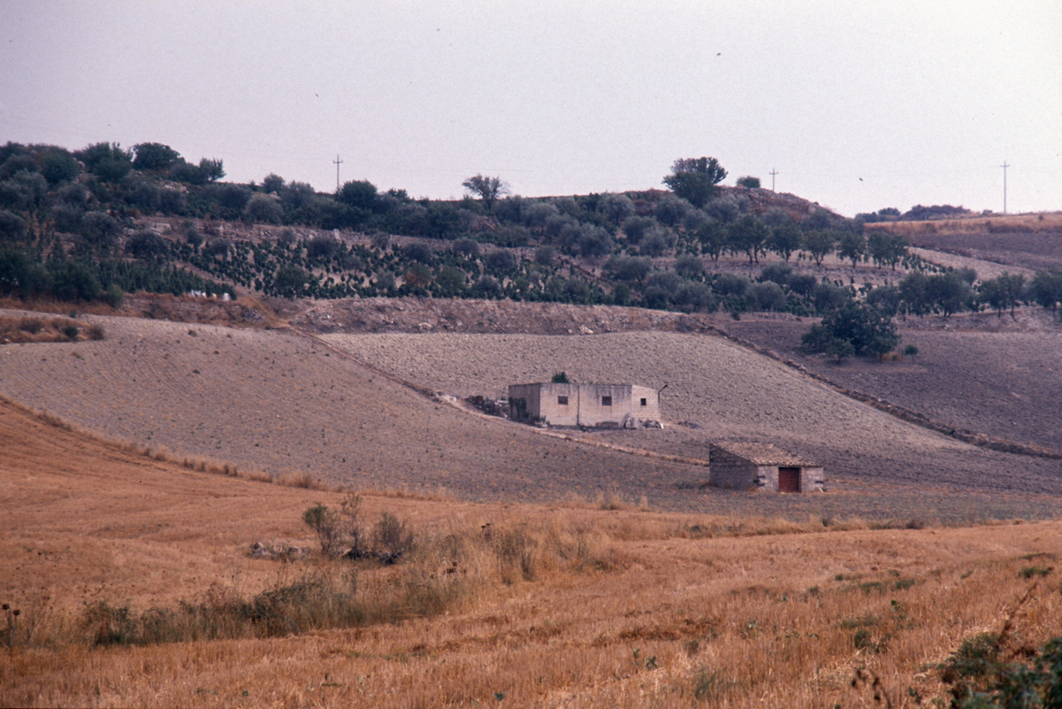 081_das_feld.jpg