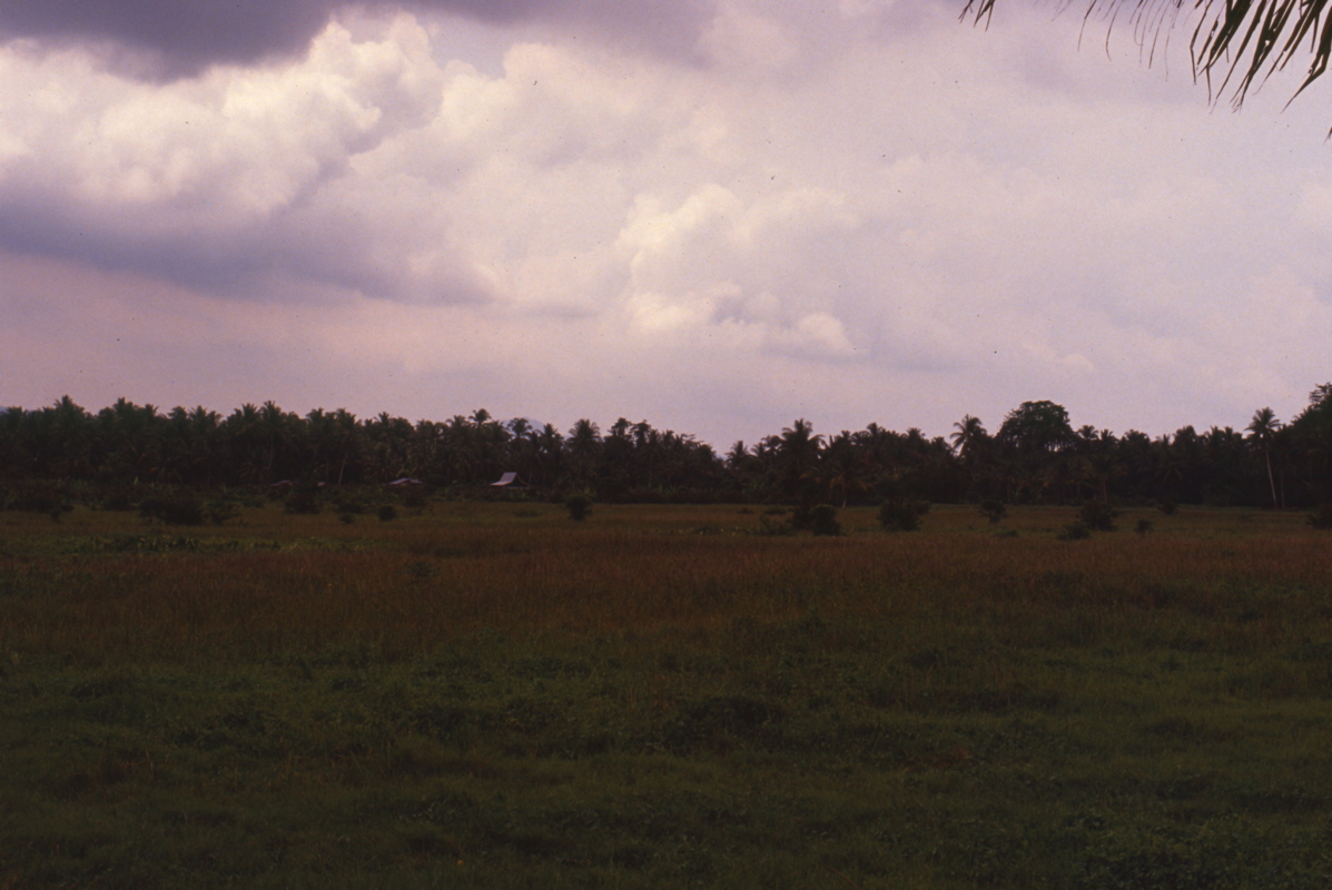 035_gewitter_in_der_luft.jpg