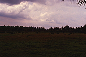 035_gewitter_in_der_luft.jpg
