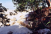 055_freches_aeffchen.jpg