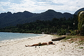 065_endlich_am_strand.jpg