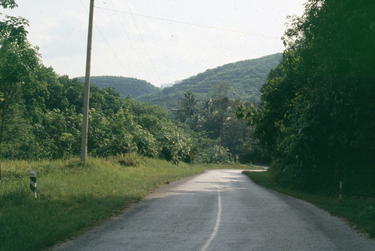 102_strasse_nach_yala.jpg
