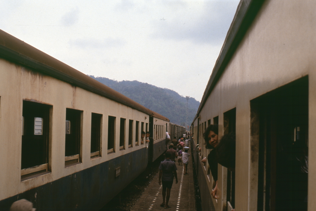 114_zug_nach_surat_thani.jpg
