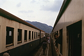 114_zug_nach_surat_thani.jpg