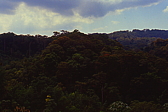 120_wolken_ueber_dem_wald.jpg