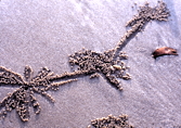 Pulau Langkawi