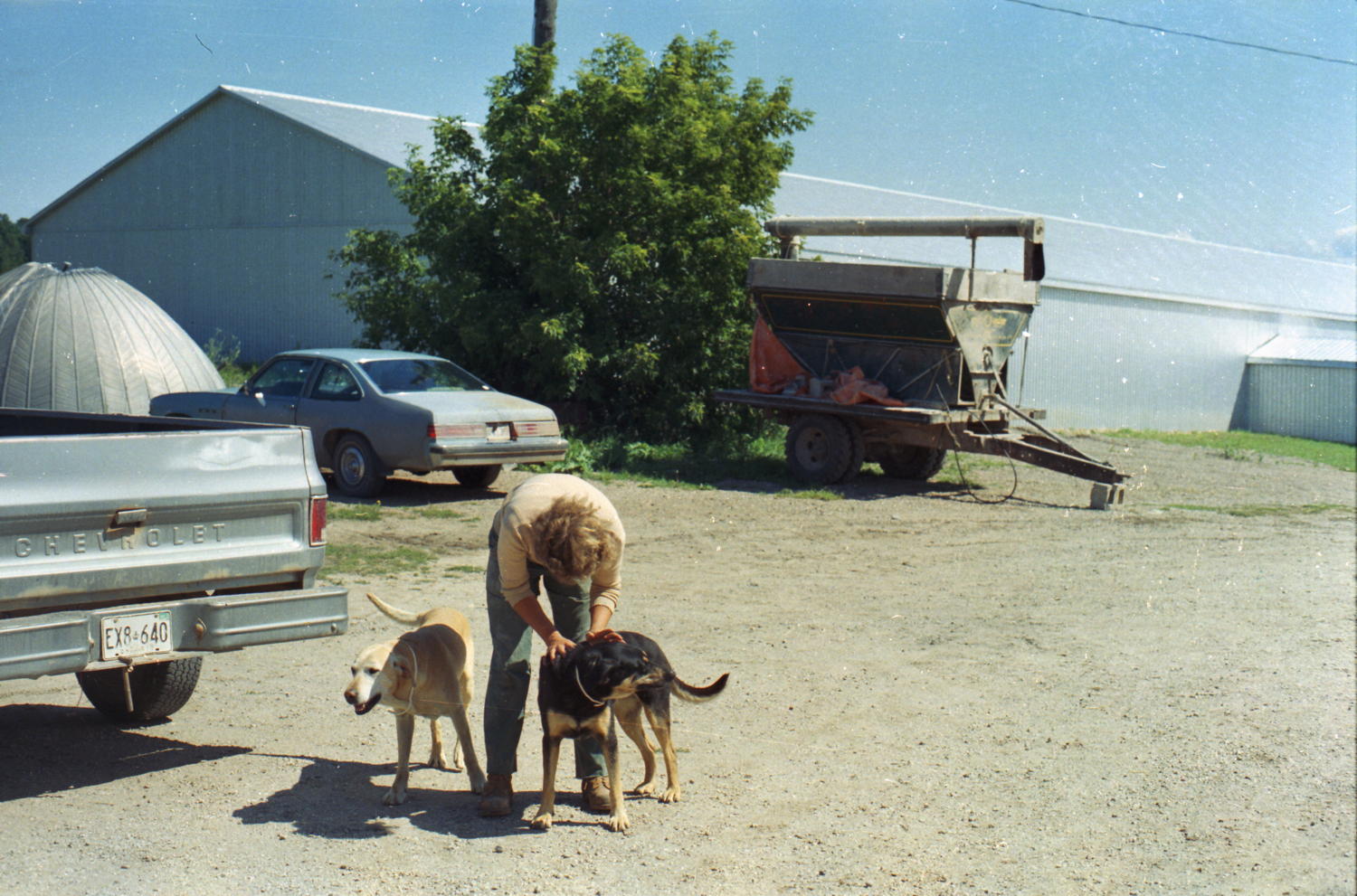 040_susi_mit_hunden.jpg