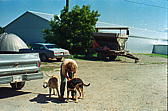 040_susi_mit_hunden.jpg